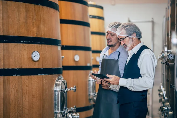 stock image Winemaker working in modern large winery factory liquor drink industry quality and fermentation monitor