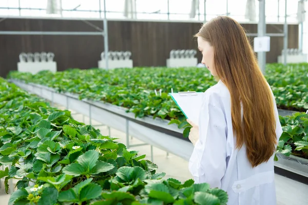 科学者の作業は 農業研究科学教育のためのデータ記録植物の成長データを収集します — ストック写真