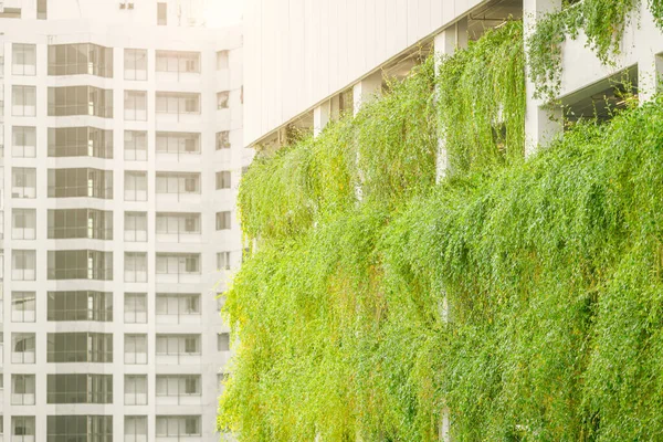 Vertical garden wall in green city nature for eco absorb carbon sinks and cooling building.