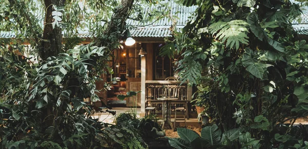 Mały Drewniany Domek Ukryty Dzikiej Głębokiej Tropikalny Zielony Las Vintage — Zdjęcie stockowe