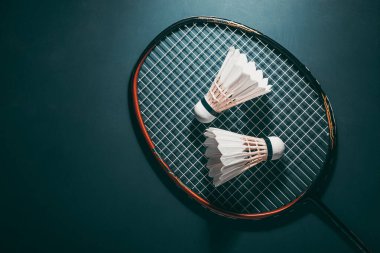 badminton servis horozu raket ile yüksek performanslı kapalı alanda oynanan spor turnuvası maçları için yer kopyalama ekipmanı.