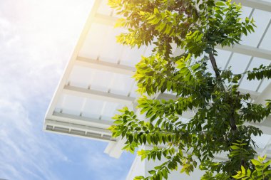 Yeşil Eko yapı kavramı. Güneş çatı temiz hava ve düşük enerji kullanımı için kapalı yeşil ağaç.