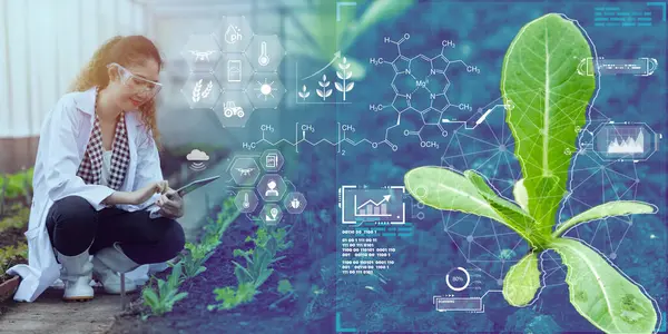 Bio researcher Scientist work in bioscience research plant grow in agriculture farm with digital technology plantation genome analyse