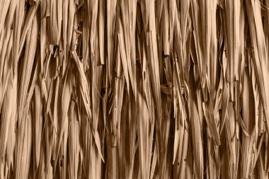 Nipa palmiye yaprağının kuruması, doğa için kır evi çatısı, kırsal yaşam arka planına yakın.