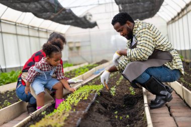 Afrikalı siyahi çocuk, ailesiyle birlikte tarım çiftliğinde küçük ağaç yetiştirme oyunu oynuyor. Çocuklar baba anne doğa sever oganik çiftçilik.