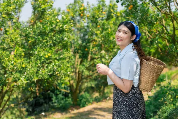 オレンジ農場で幸せな女性たち アジアの 有機農業 オレンジ フルーツ ツリー ロイヤリティフリーのストック画像