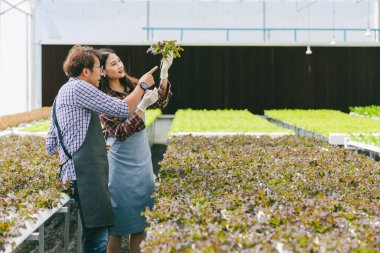 Mutlu çiftçi hidro çiftliğinde taze yeşil gıda fabrikası, modern temiz eko tarım endüstrisi konsepti
