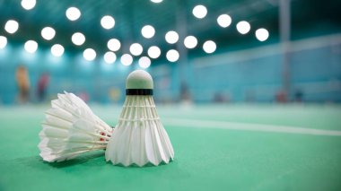Badminton shuttlecock on the floor with blur badminton indoor sport game court background with space for text clipart