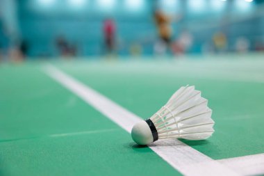 Badminton Mekik Horozu, görme engelli bir yargıcı mahkeme sınırına getirdi. Yanlış karar. Meydan okunan problem kavramı içinde veya dışında.
