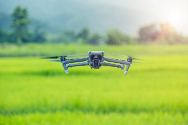 Yeşil pirinç tarlasında küçük bir tarım aracı. Arazinin haritasını çıkarmak ya da bitkileri bitki öldürücü hava teknolojisiyle ilaçlamak..