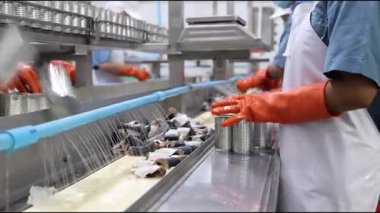 Yiyecek fabrikası çalışanları konserve balık fabrikasında balık paketliyor.