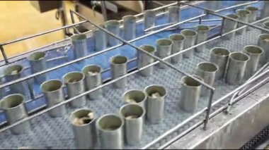 Tin, yiyecek imalatında kemer üretim hattında hızlı seyahat edebilir. Fish konserve fabrikası..