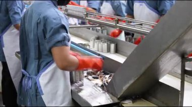 Yiyecek fabrikası çalışanları konserve balık fabrikasında balık paketliyor.