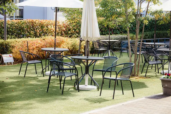 Arri Almanya 'dan Arriflex 35, Erich Kstner' ın el kamerası tasarımı.