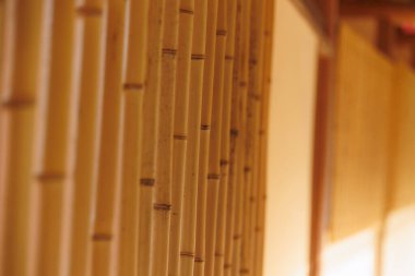 Arri Almanya 'dan Arriflex 35, Erich Kstner' ın el kamerası tasarımı.