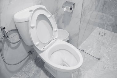 Otel banyosunda tuvalet temizliği, paslanmaz bidet spreyli tuvalet hijyeni.