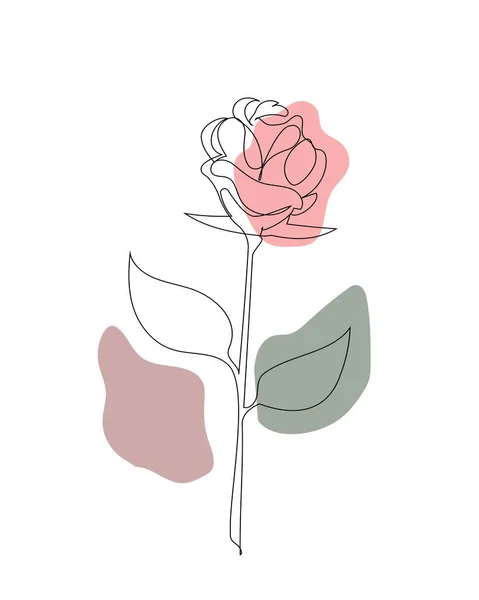 Набор Роз Простыми Геометрическими Фигурами Простой Контурный Рисунок Стиле Линейного — стоковый вектор