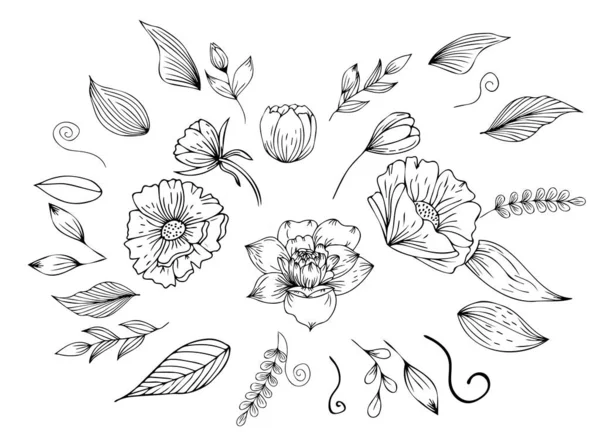 Set Flowers Foliage Decor Engraving Minimalist Style Contour Hand Drawing — Stock Vector