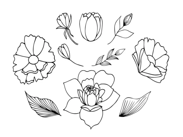 Virág Bimbó Mag Dekoratív Körvonalazott Mockup Vektor Virágmintás Kézrajz Egyszerű — Stock Vector