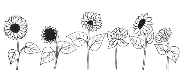 Σύνολο Λουλουδιών Ηλίανθος Λουλούδι Μπουμπούκι Σπόρος Πλευρική Εργασία Βέκτορ Για — Διανυσματικό Αρχείο