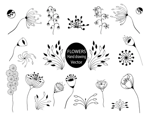 抽象的なオリジナル花のセット 輪郭線を描く 手描き ベクトル — ストックベクタ