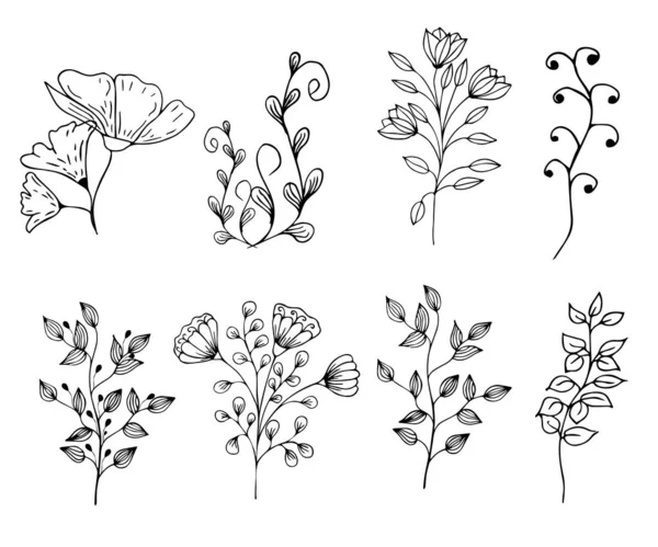 Σετ Λουλουδιών Γρασίδι Φύλλα Κλαδιά Χειροποίητο Στυλ Lvynart Για Διακόσμηση — Διανυσματικό Αρχείο