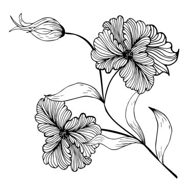 Çiçek kompozisyonu, çiçek dalı, tomurcuklar, yapraklar, dekor. Kabartma. Katılım çizimi. El çizimi. Düğün dekorasyonu, tatil davetiyeleri, arka planlar, klima ya da boyama için