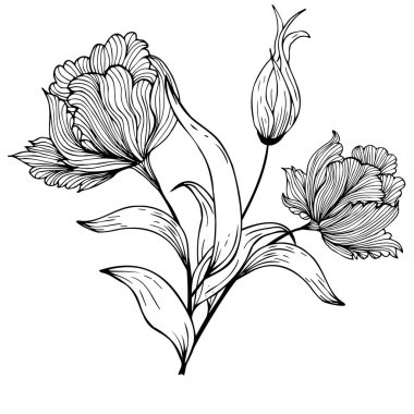 Çiçek kompozisyonu, çiçek arkaplanı, narin çiçekler ve tomurcuk dalları. El çizimi. Moda dekoru için, davetiyeler, kartlar, posterler, el ilanları, kumaş ve kağıt üzerine baskı için, arka planlar için