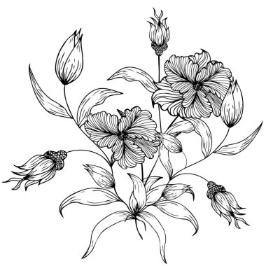 Çiçek kompozisyonu, çiçek arkaplanı, narin çiçekler ve tomurcuk dalları. El çizimi. Moda dekoru için, davetiyeler, kartlar, posterler, el ilanları, kumaş ve kağıt üzerine baskı için, arka planlar için