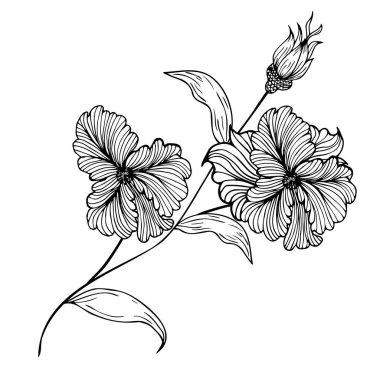 Çiçek kompozisyonu, çiçek arkaplanı, narin çiçekler ve tomurcuk dalları. El çizimi. Moda dekoru için, davetiyeler, kartlar, posterler, el ilanları, kumaş ve kağıt üzerine baskı için, arka planlar için