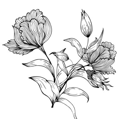 Çiçek kompozisyonu, çiçek arkaplanı, narin çiçekler ve tomurcuk dalları. El çizimi. Moda dekoru için, davetiyeler, kartlar, posterler, el ilanları, kumaş ve kağıt üzerine baskı için, arka planlar için