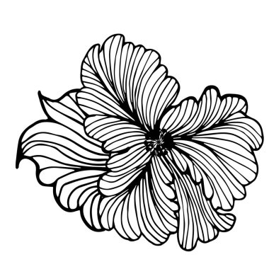 Flower, bud. Contour hand drawing. For your design