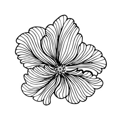 Flower, bud. Contour hand drawing. For your design