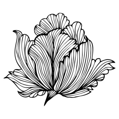 Flower, bud. Contour hand drawing. For your design