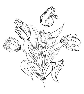 Beautiful realistic flowers, tulips. The composition is drawn by hand. Great idea for invitations, posters, cards, backgrounds, for printing and layout, etc.