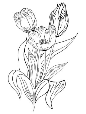Beautiful realistic flowers, tulips. The composition is drawn by hand. Great idea for invitations, posters, cards, backgrounds, for printing and layout, etc.