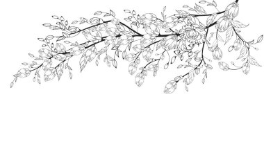 Delicate floral background, luxurious blooming branch, frame, border, with delicate flowers and branches of buds. Contour hand drawing. Engraving. With space for text