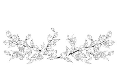 Delicate floral background, luxurious blooming branch, frame, border, with delicate flowers and branches of buds. Contour hand drawing. Engraving. With space for text