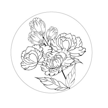 Delicate floral composition, background of lush, luxurious flowers, buds, leaves. For frame, card, poster, poster, divider, border. Hand drawn. With space for text