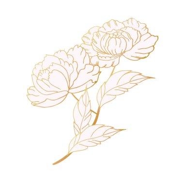 Luxurious peony flower, decorated composition. Hand drawing. For cards, backgrounds, prints, invitations and your design