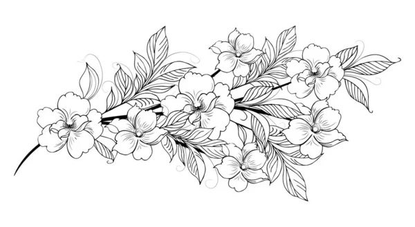 Smuk Blomstrende Gren Rigt Dekoreret Med Blomster Knopper Blade Håndtegning - Stock-foto
