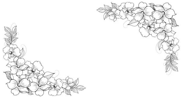 Jemné Květinové Pozadí Květinových Větví Pupenů Květinové Aranžmá Ruční Kresba — Stock fotografie