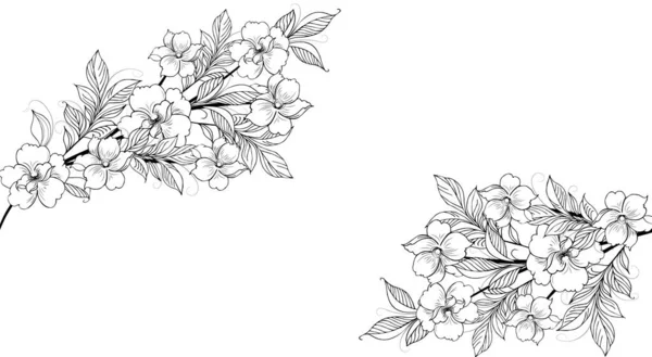 花的背景 花的组成 花的背景与嫩花和芽的分枝 手绘设计风格的装饰 邀请函 明信片 背景等 — 图库矢量图片