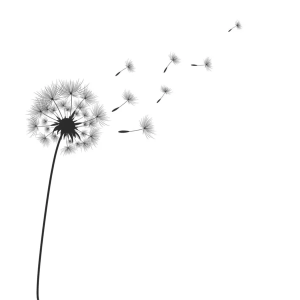 Одуванчик Цветы Семенами Которые Улетают Ветру — стоковый вектор