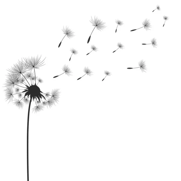 Dandelion Flowers Seeds Fly Away Wind — Stock Vector