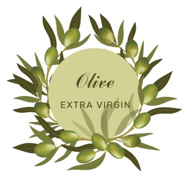 Yeşil zeytin dalı ve yeşil zeytinli çelenk. Vejetaryen yemeği ve sağlıklı yaşam tarzı..