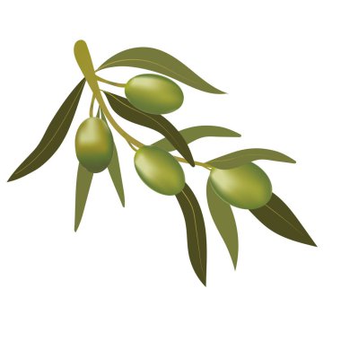 Zeytin dalı ve yeşil zeytinli arka plan. Vejetaryen yemeği ve sağlıklı yaşam tarzı.