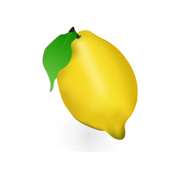 Fresh Realistic Lemon Leaves — Stock Vector