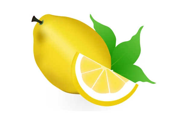 现实的柠檬 全片与绿叶 酸新鲜水果 明亮的黄色皮 一套矢量插图柠檬分离的白色背景 — 图库矢量图片