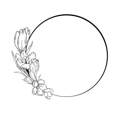 Crocus çiçekleri, safran. Çerçeve yuvarlak, altın rengi. El çizimi, taslak çizim, gravür. Davetiyeler, kartlar, baskılar vesaire için